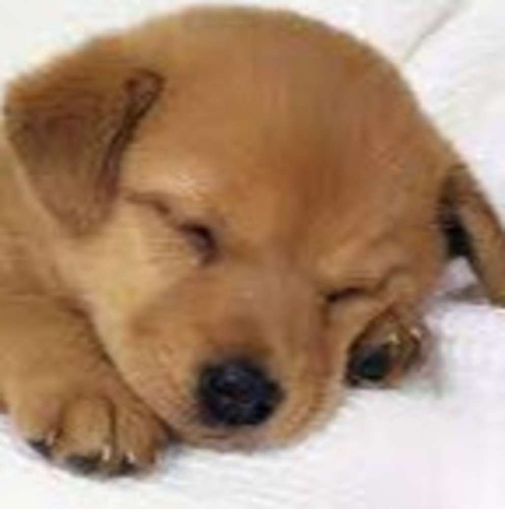 Meet your Posher, Marissa